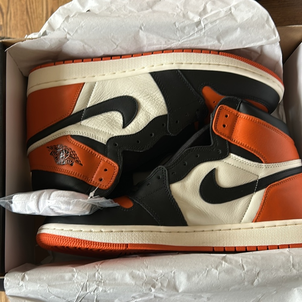 Air Jordan 1 retro high OG; black/starfish-sail. Sz13; shattered backboard.